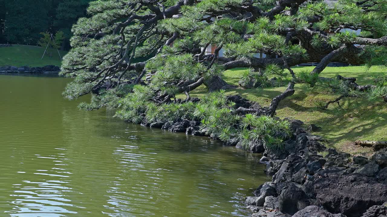 아름다운 일본 전통 정원과 연못 도쿄