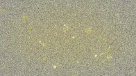 grainy digital noise pattern filling canvas showing colored speckles with glowing yellow splotches