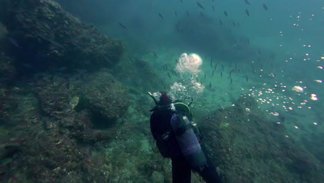 fotografía del hermoso mundo submarino de malta durante una inmersión con la vista de un buzo en equipo de buceo mirando hacia un banco de peces y burbujas de oxígeno deslizándose hacia la cámara en cámara lenta