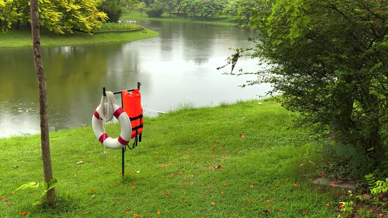 Un'inquadratura tranquilla e statica di un sereno parco pubblico durante una pioggia leggera. In primo piano, un salvagente anulare rosso e bianco, un giubbotto di salvataggio arancione e una corda arrotolata sono appesi a un palo di metallo.