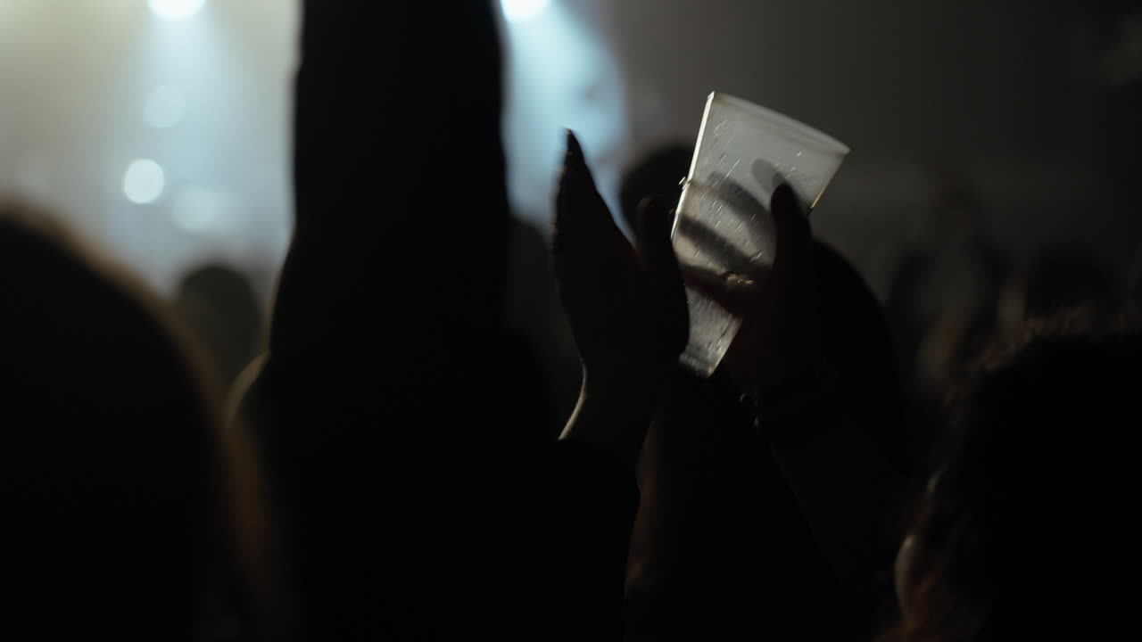 Ihmisten siluetteja hurraamassa ja käsiä nostamassa konsertissa