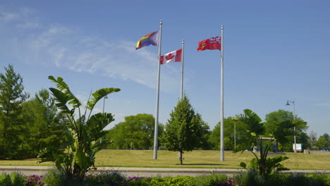 pride flag, canada flag, and ontario flag fly on a beautiful summer day