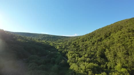 experience a breathtaking journey through vibrant valleys and hills, showcasing untouched beauty