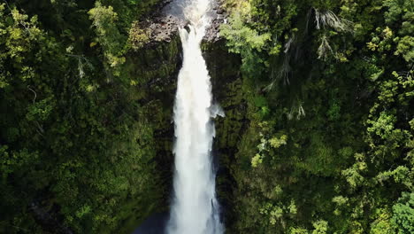 aerial view on beautiful waterfall in green jungle, akaka falls hawaii