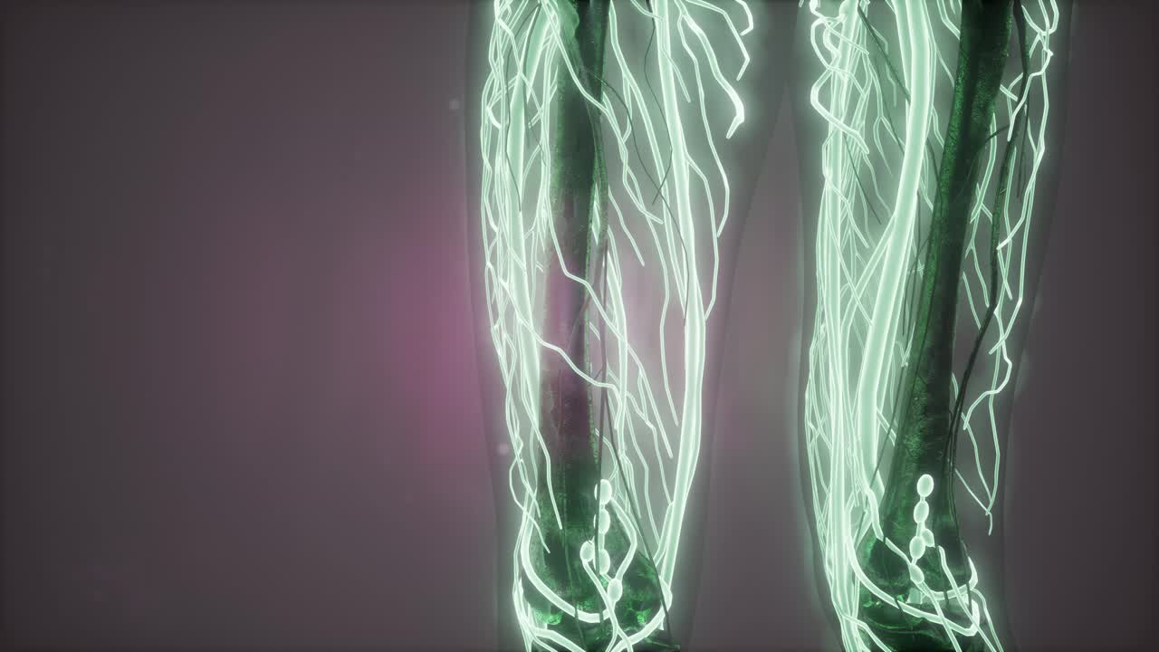 빛나는 혈관으로 된 인체