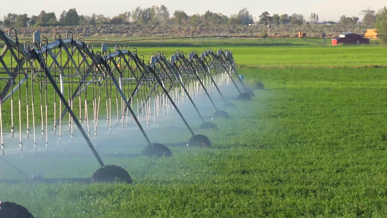 un sistema de rociadores industriales riega las tierras de cultivo de california durante una sequía 2