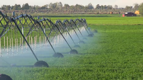 Un-Sistema-De-Rociadores-Industriales-Riega-Las-Tierras-Agrícolas-De-California-Durante-Una-Sequía-2