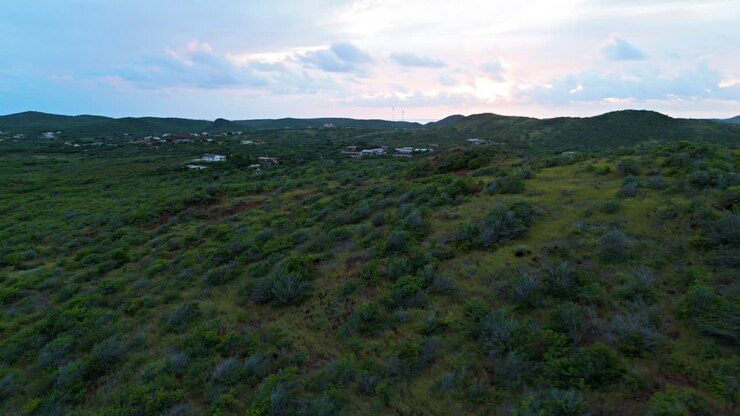 Parallasse orbitale del drone attorno a colline aride e secche con cactus e aloe su un'isola caraibica, con case sparse sullo sfondo
