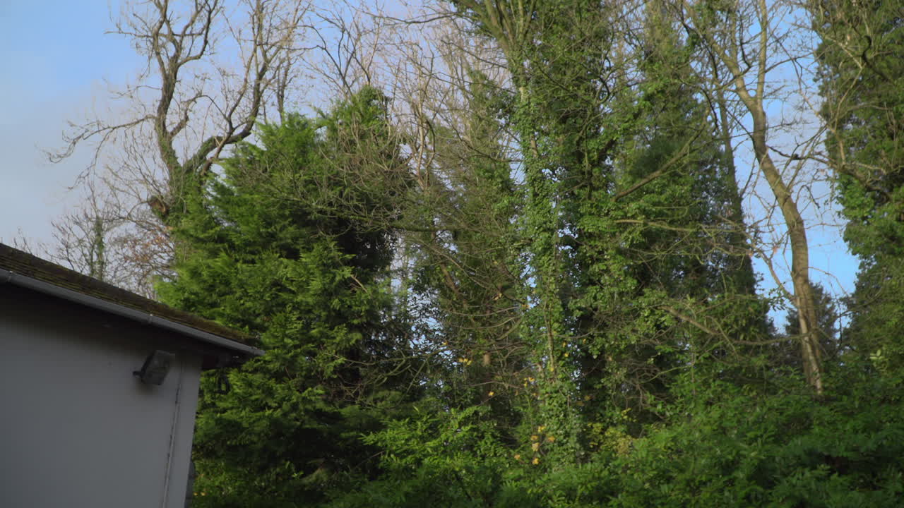 Empty Dorm Room Student, Hostel, Asylum seeker's Accommodation