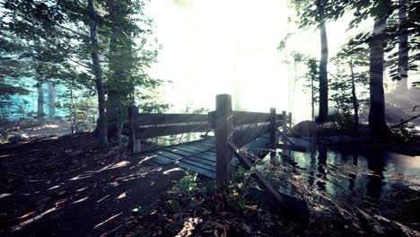 wooden bridge in the forest in the fog