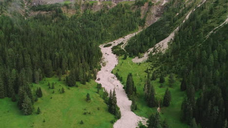 aerial view above dense woodland forest trail on valley slope of south tyrol plose peitlerkofel mountain