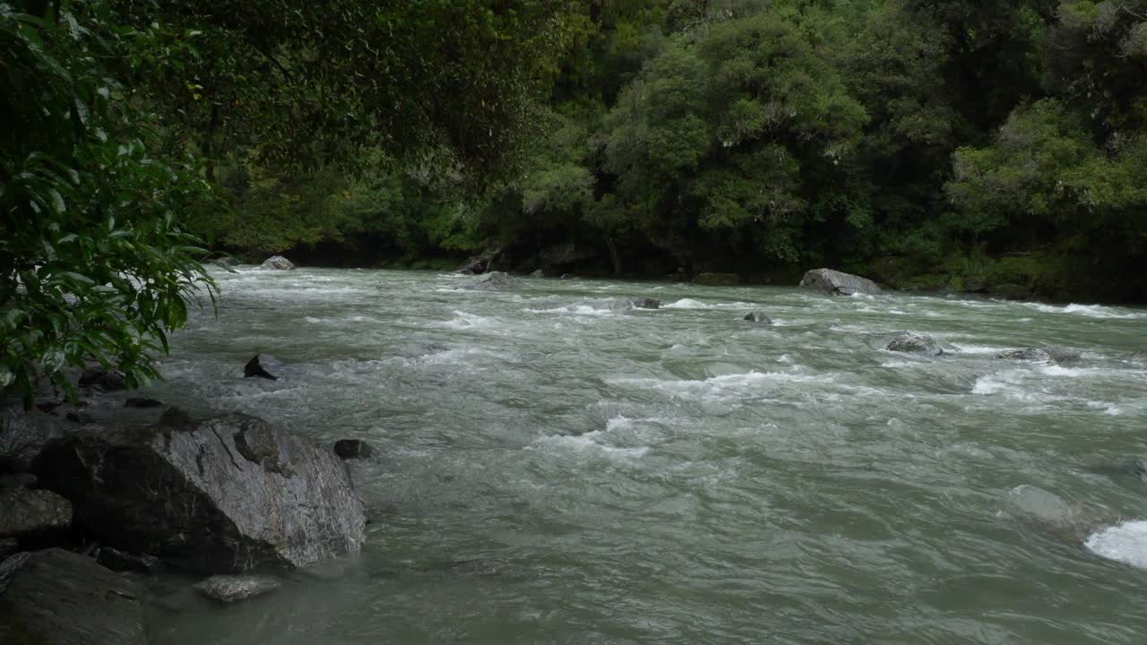 Roaring Billy Falls River Rapids In Haast, New Zealand - Wide Shot