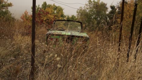 old green car abandoned in a field