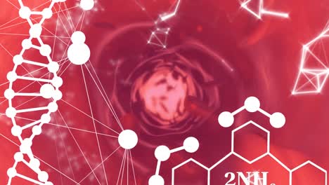 Animation-Von-DNA-Und-Molekülen-über-Roten-Blutkörperchen-Auf-Rotem-Hintergrund