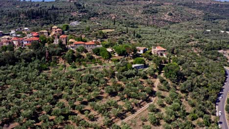 aerial view of a greek village in an olive grove