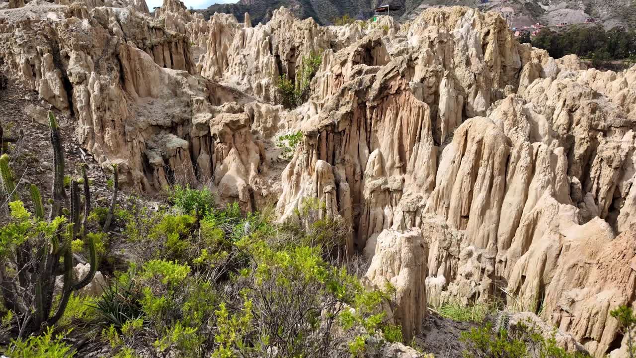 Strane formazioni argillose e cactus alti nella Valle della Luna, La Paz, Bolivia