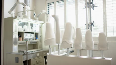 prosthetic molds drying in laboratory, showcasing medical equipment and tools