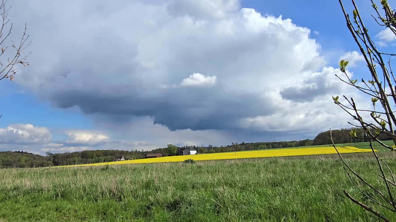 Ein leuchtend gelbes Rapsfeld unter einem dramatischen, bewölkten Himmel