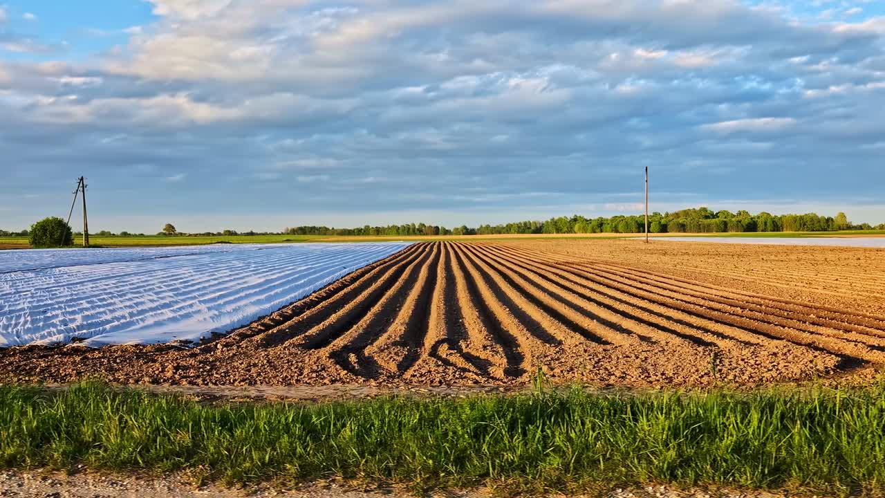 Farming field with agrofilm rows protecting crops and tilled soil under sky