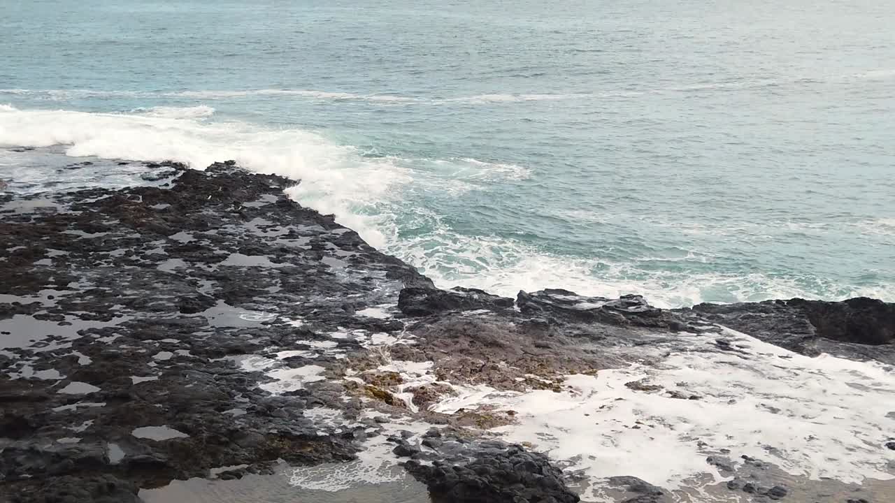 hd cámara lenta hawaii kauai marco central estático con vistas al espiráculo de la bocina saliendo de fotograma completo, parte dos de dos