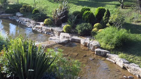 el agua tranquila del jardín