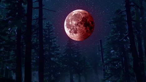 red moon over the forest