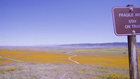 camera moves from the warning sign to the view of the poppy fields