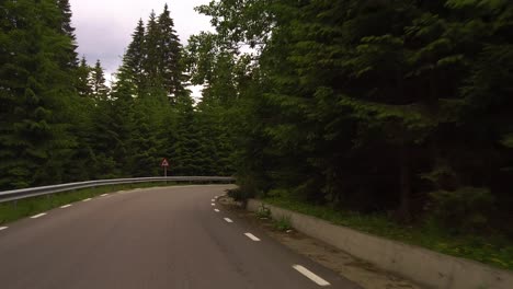 Driving-down-Bucegi-mountains-on-a-winding-road,-surrounded-by-tall-green-Pine-trees,-Romania,-Dolly-forward