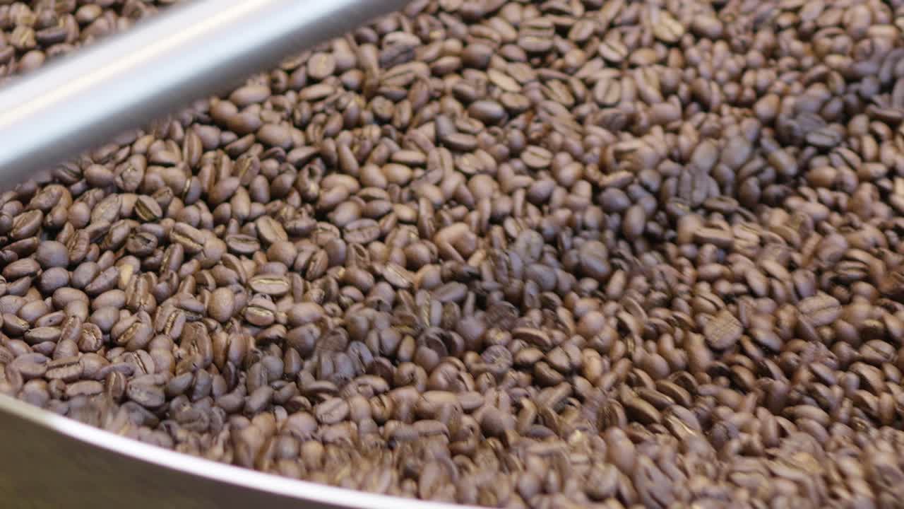 Experience the journey of coffee from raw beans to your favorite drink in an industrial roastery setting.