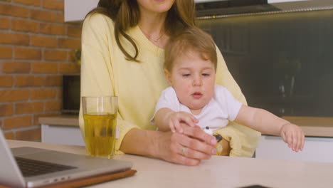 Mujer-Sosteniendo-A-Su-Hijo-En-Su-Regazo-Mientras-Se-Sienta-En-La-Cocina-Y-Juega-Con-él-Con-Juguetes-De-Animales