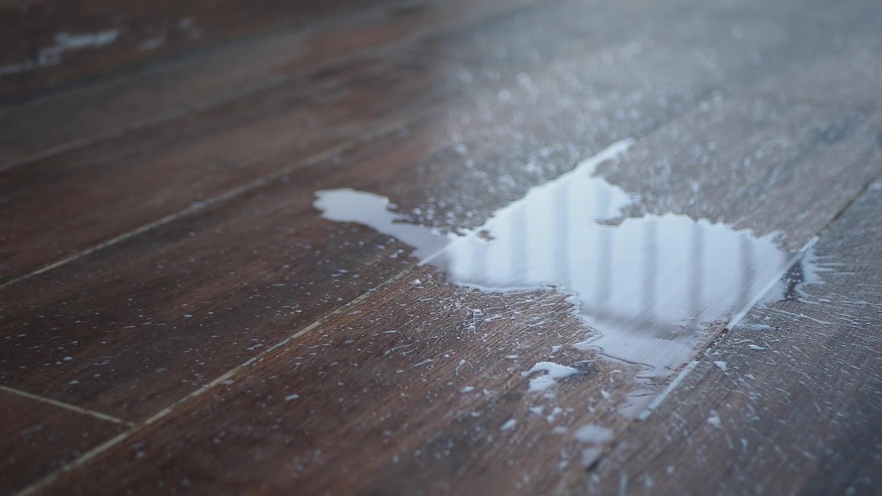 Puddle of Water on Dark Wooden Floor