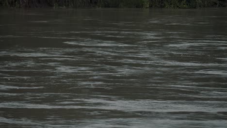 厄瓜多爾亞馬遜雨林中平靜流動的河流