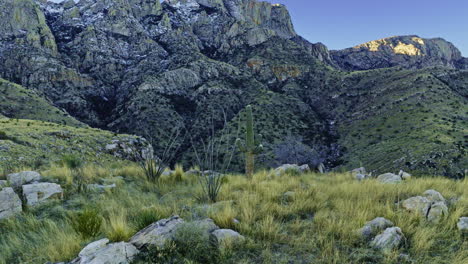 imágenes de drones volando hacia cactus de montaña