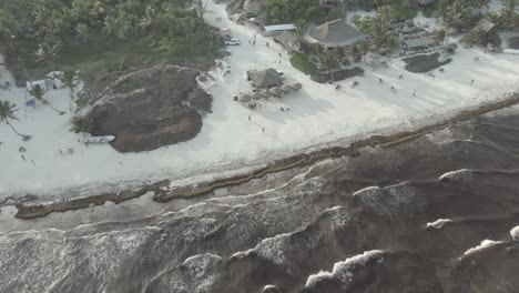 vacations in tulum beach, paradisiacal beach in tulum, sea taken by sargasso algae 3