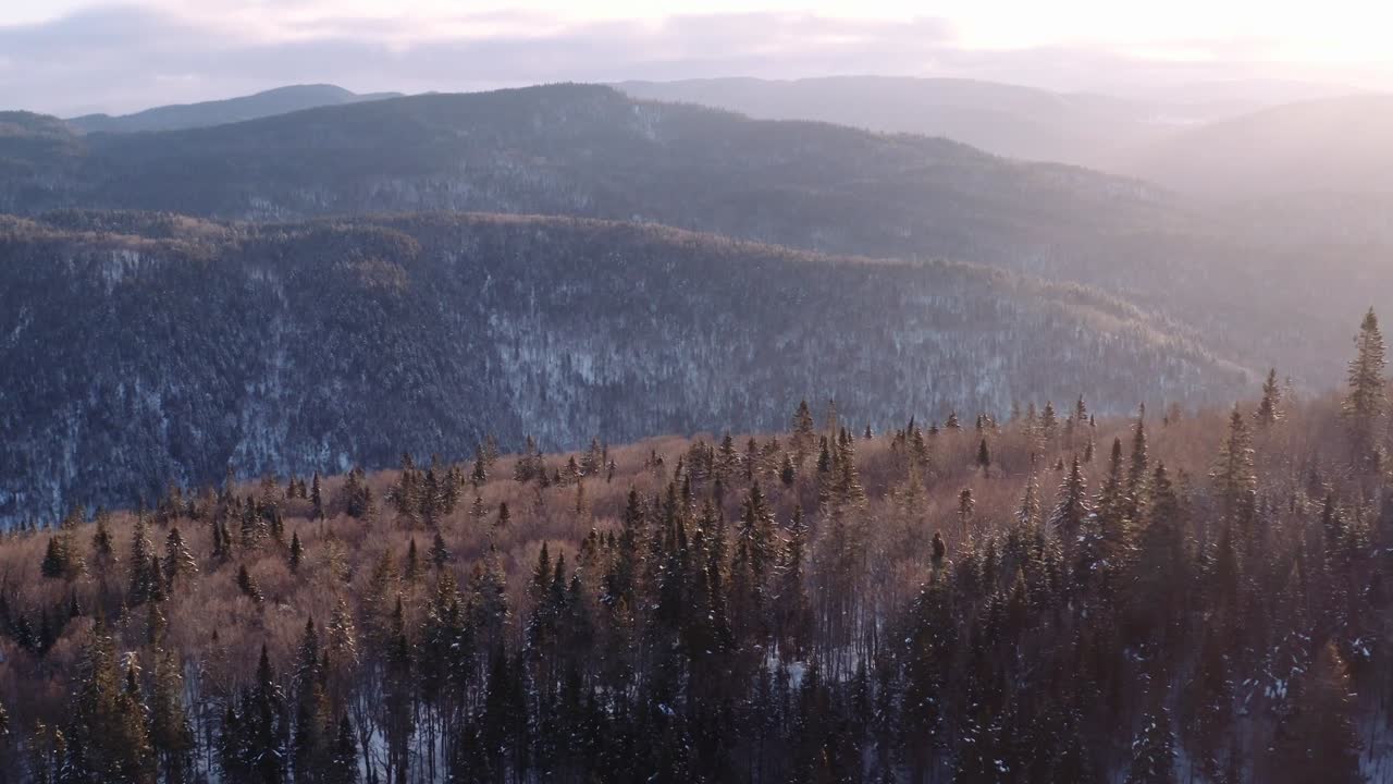 dron en movimiento hacia adelante que establece una toma de bosque nevado, amanecer de invierno en quebec, canadá