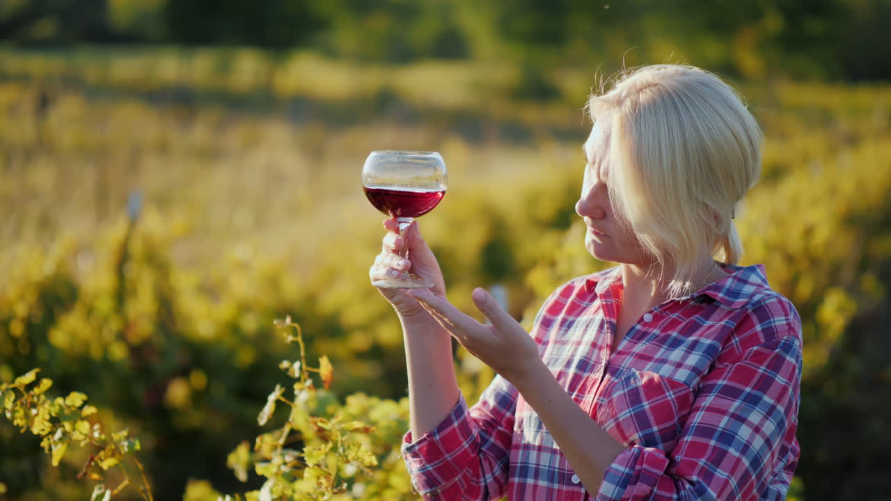 포도원에서 와인을 시음하는 여자