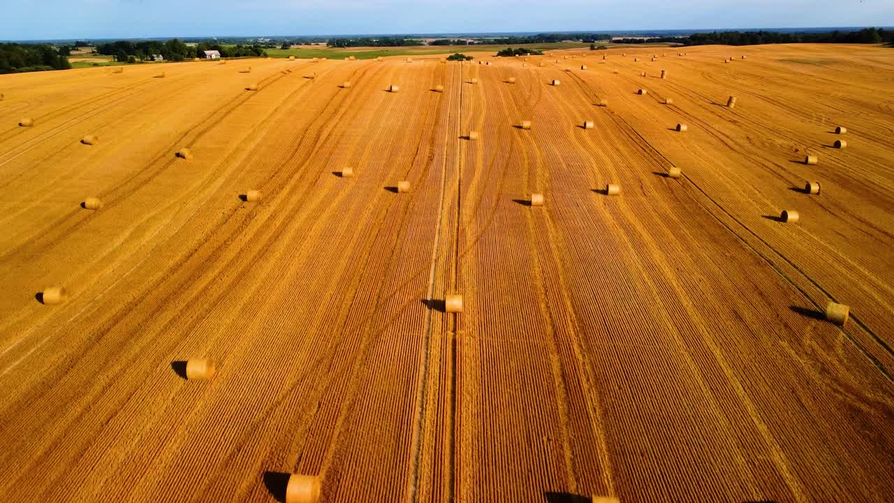 vista aérea de un gran campo marrón industrial con muchos fardos de heno en 4k