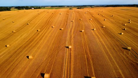 aerial view of a large industrial brown field with many hay bales in 4k