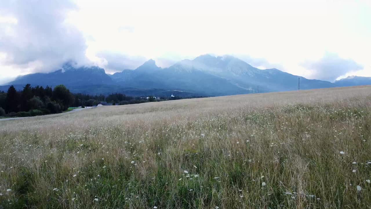 슬로바키아의 높은 타트라 산맥의 잔디을 가로질러