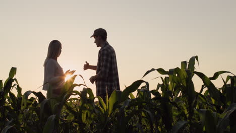 Siluetas-De-Dos-Agricultores.-Charlando-Con-El-Telón-De-Fondo-De-Un-Campo-De-Maíz-Al-Atardecer