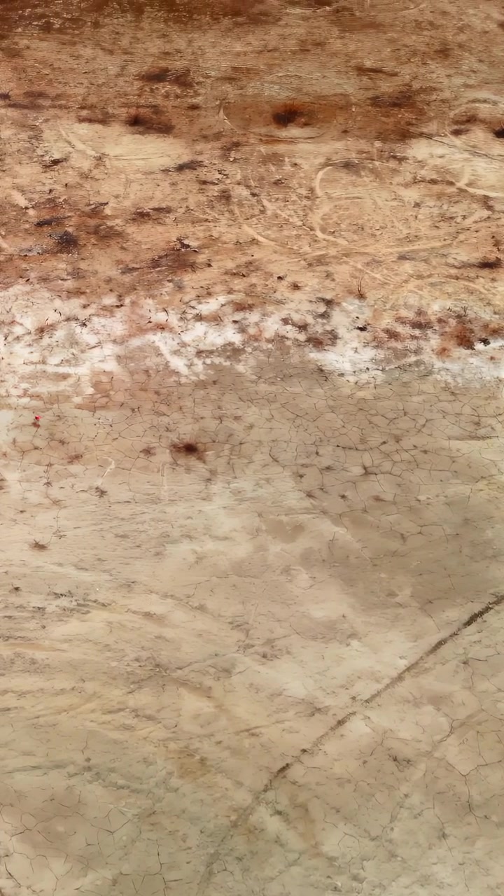Luftaufnahme eines trockenen Flussbetts mit gewundenen Kanälen und ockerfarbenen Streifen, verschlungenen Sedimentbändern und Reifenspuren