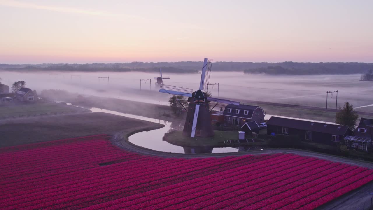 Vista aerea di Noordwijkerhout con Hogeveensemolen, tulipani, mulino a vento, che mostra un tranquillo paesaggio rurale nei Paesi Bassi