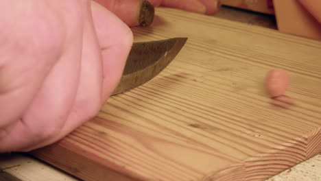 macro closeup: fresh raw carrots cut with knife on wood chopping block