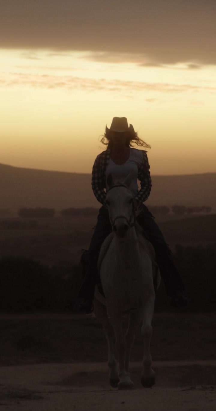 Cowgirl a cavallo di un cavallo bianco al tramonto