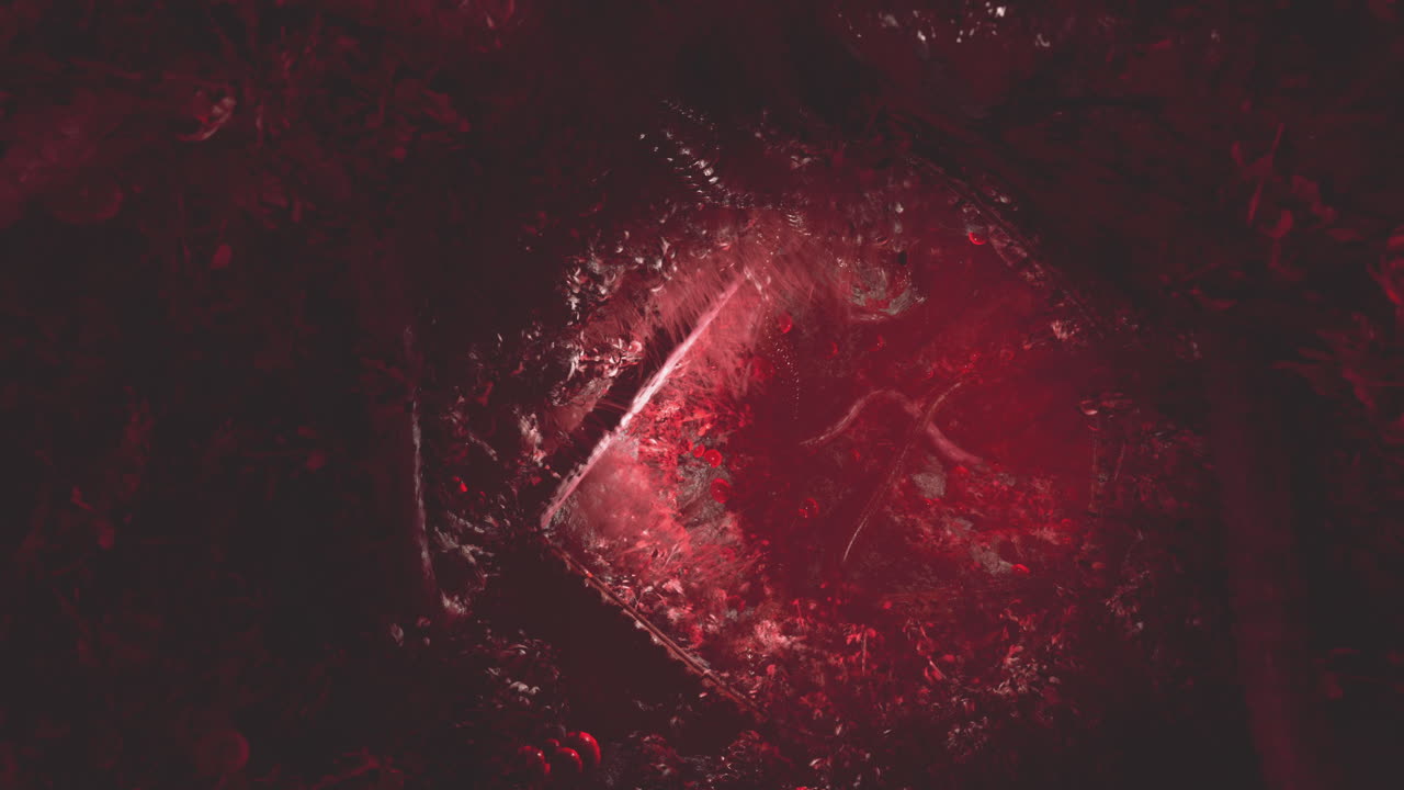 ⁇ 은  ⁇ 타클을 가진 우두 공포