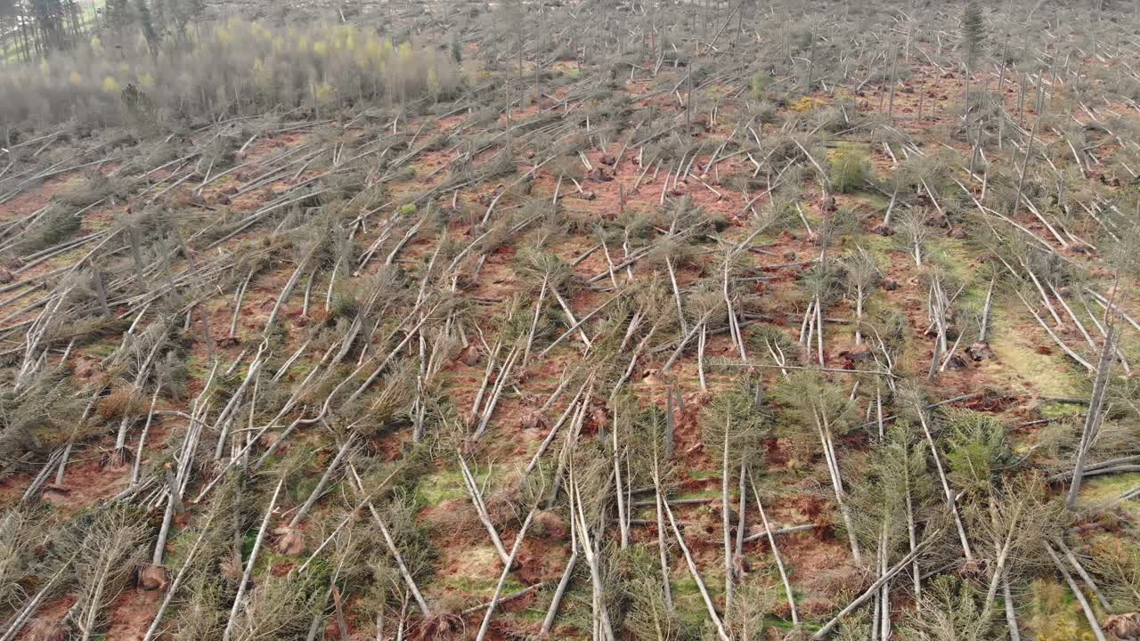 vista aérea del bosque destruido por fuertes vientos durante una tormenta