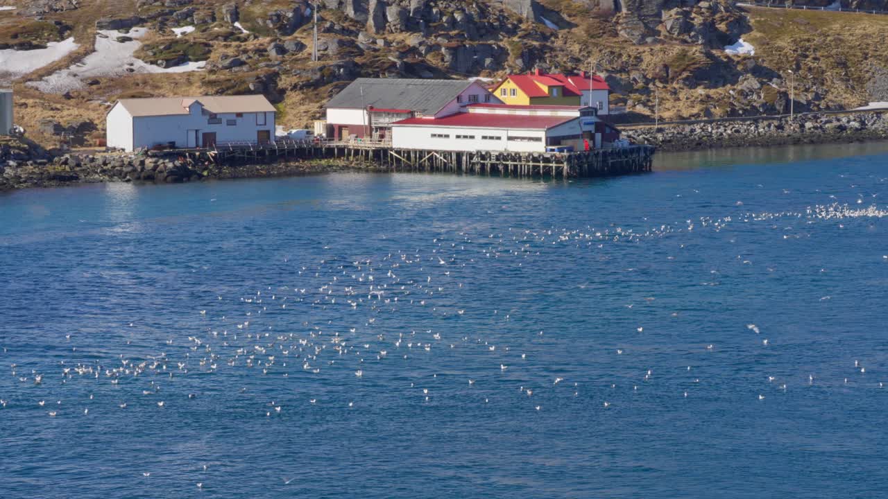 Picturesque Norwegian fishing villages with harbors and boats