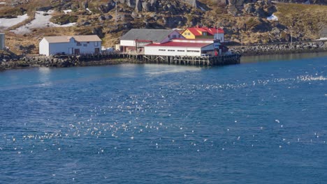picturesque norwegian fishing villages with harbors and boats