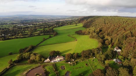 vista aérea de vuelo sobre campos agrícolas verdes junto al bosque otoñal