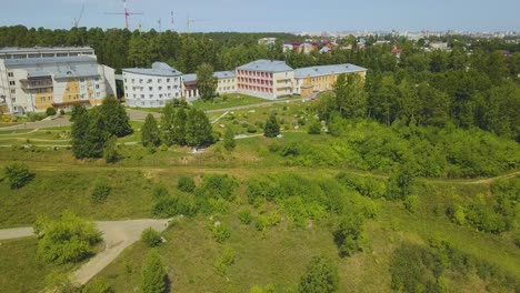 pareja distante en el parque en la colina verde en un buen día vista aérea